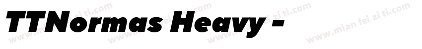 TTNormas Heavy 常规字体转换